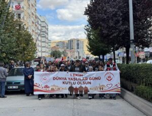 Üç kentte Yaşlılar Günü yürüyüşü yapıldı, Samsun Valisi Tavlı konuştu
