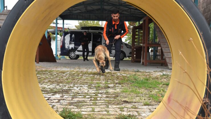 Van AFAD’da Börte ve Lucy 2027’de canlı arama sınavına hazırlanıyor