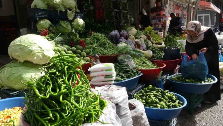 Van’da kışlık turşu mesaisi başladı, kornişonun 3 kilosu ortalama 100 lira