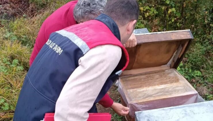 Yığılca’da veteriner hekimler dört köyde arılı kovanları tek tek saydı
